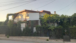 Vila Georgeta, Camere de închiriat
